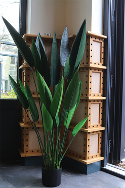 Strelicja Zielona, wysokiej jakości sztuczna roślina, wym.125cm