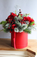 Red Winter, zimowy flowerbox