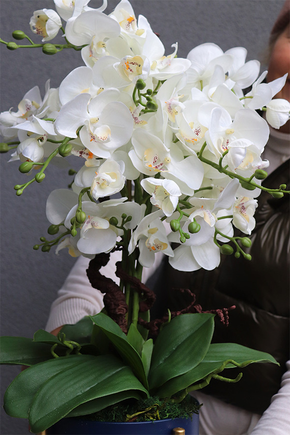 Neomi Small, sztuczny storczyk w niebieskiej donicy na stojaku