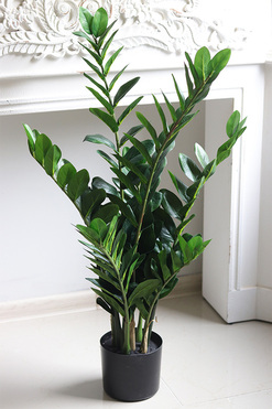 Zamiokulkas Natural, wysokiej jakości sztuczna roślina, wys.90cm