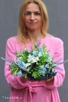 Navy Shell kompozycja marynistyczna w muszli, wym.23x40x24cm