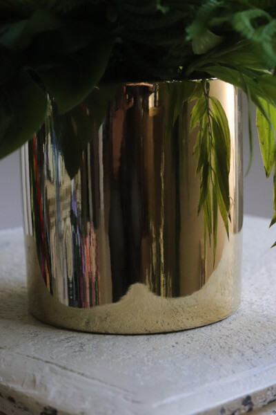 Złote Figaro, sukulenty w ozdobnej donicy