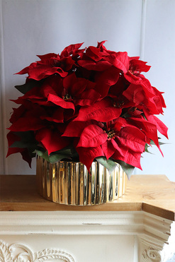 Gwiazda Betlejemska Goldeo, wysokiej jakości sztuczna roślina, wym.50x52cm