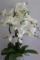 Nedila Tall, sztuczny storczyk w zielonej osłonce