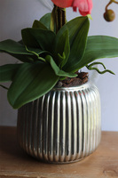 Coralovy Hilton, wysokiej jakości sztuczny storczyk, wys.67cm