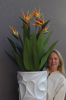 Strelicja Floria, egzotyczna kompozycja w donicy fiberglass