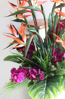 Strelicja&Orchidea Saute, kompozycja kwiatowa XXL do Twojej donicy