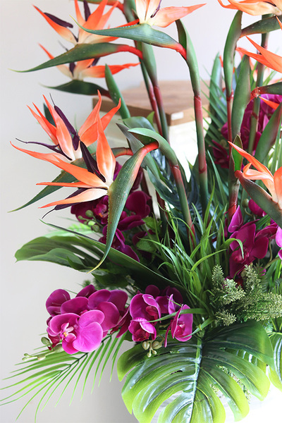 Strelicja&Orchidea Saute, kompozycja kwiatowa XXL do Twojej donicy