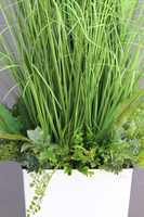 Anna Modern White 2, kompozycja z traw w dłutowanej donicy, wys.160cm