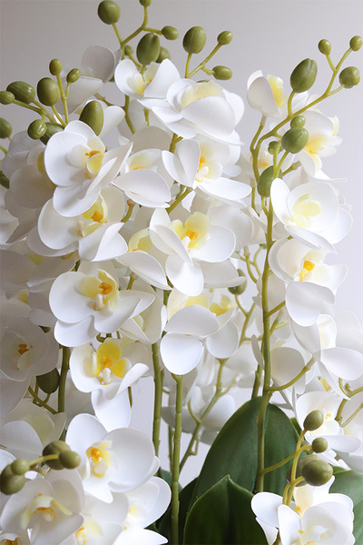 Greyera, sztuczny storczyk w ozdobnej donicy