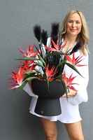 Strelicja Black Grass, nowoczesna kompozycja w pucharze