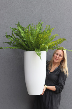 Zielony Dom Fern, paproć w donicy fiberglass, wys.110cm