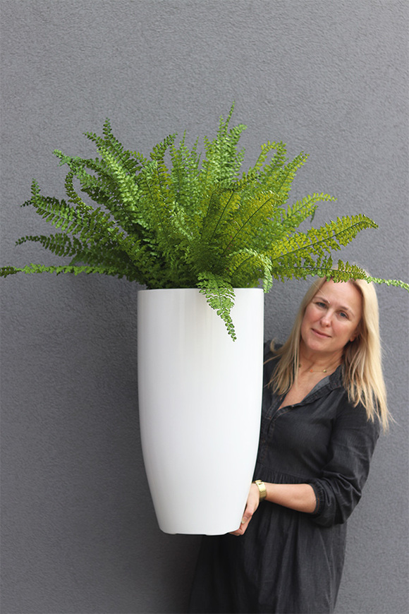 Zielony Dom Fern, paproć w donicy fiberglass