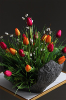 Tulippe Volcan, kompozycja nagrobna w misie