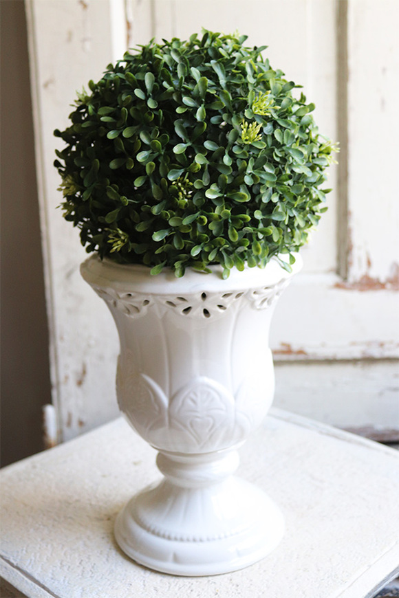 Neros, kula bukszpanowa w białym pucharze, wys.39cm 