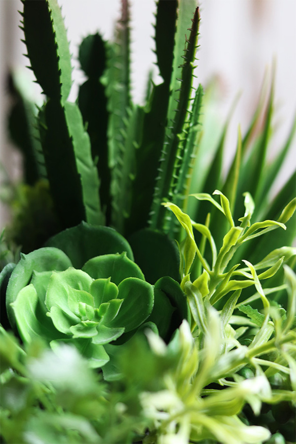 Medula, kompozycja z sukulentów w złotej doniczce