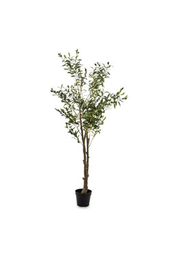 Oliwka B, sztuczna roślina / drzewko oliwne, wym.155x70x70cm