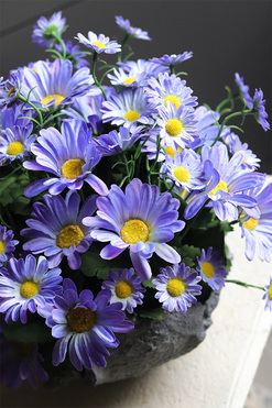 Volcan Blue, fioletowo-niebieskie kwiaty w ciężkim naczyniu, wys.30cm