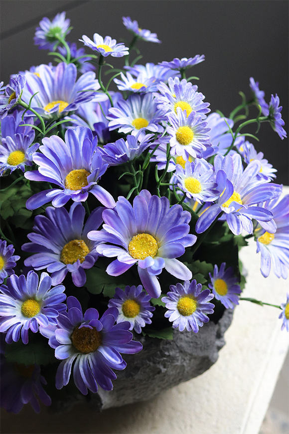 Volcan Blue, fioletowo-niebieskie kwiaty w ciężkim naczyniu