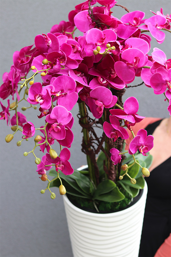 Gizelle Delinata Fuksja, wysoki sztuczny storczyk w białej donicy