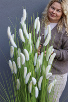 Trawa Pustynna Walter white, sztuczne trawy w donicy Fiberglass