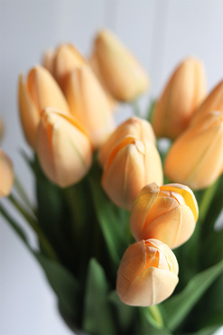 OD RĘKI Morelle Tulips, bukiet kwiatów w wazonie, wys.48cm