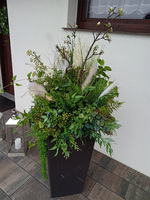 Geroya 2, zielona kompozycja z trawami do twojej donicy