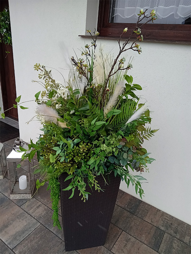 Geroya 2, zielona kompozycja z trawami do twojej donicy