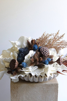 Merida, nowoczesna dekoracja w misie