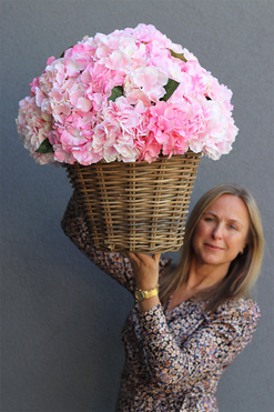 bogaty kosz z hortensjami, Italiano Pink, wys.58cm  
