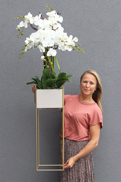 storczyki Duo Italiano, kpl.2szt., wys.140/148cm