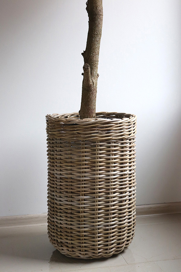 Jabłoń Sakura, sztuczne drzewko w koszu