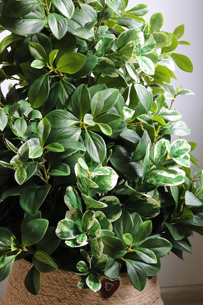 New Green Basket, drzewko sztuczne kolumnowe w donicy