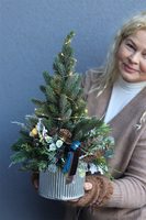 Deluxe Silver S, choinka świąteczna w donicy LED