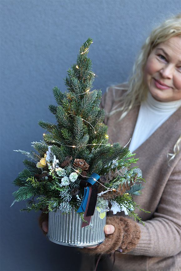 Deluxe Silver S, choinka świąteczna w donicy LED