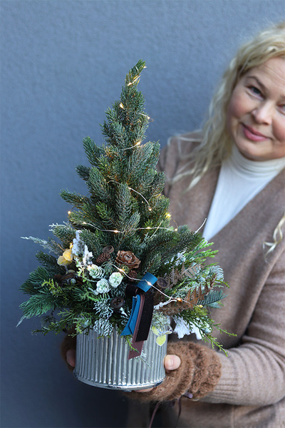 Deluxe Silver S, choinka świąteczna w donicy LED