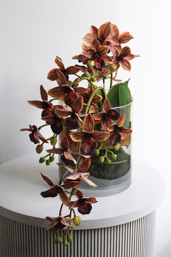 Granada Thai Glassier, miedziany storczyk w szkle, wys.32cm 