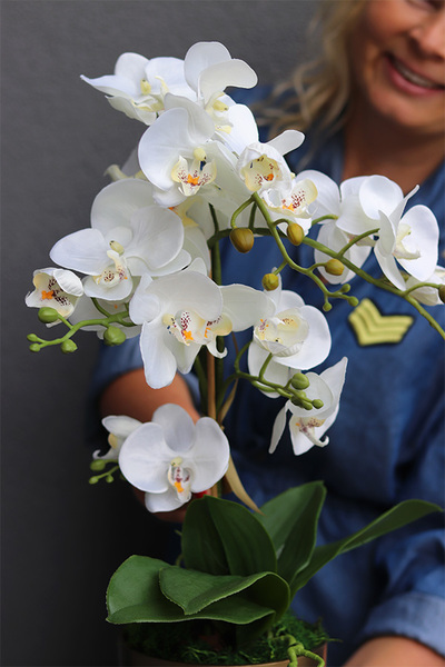 Złota Baśń 2, storczyk w złotej osłonce na nóżkach