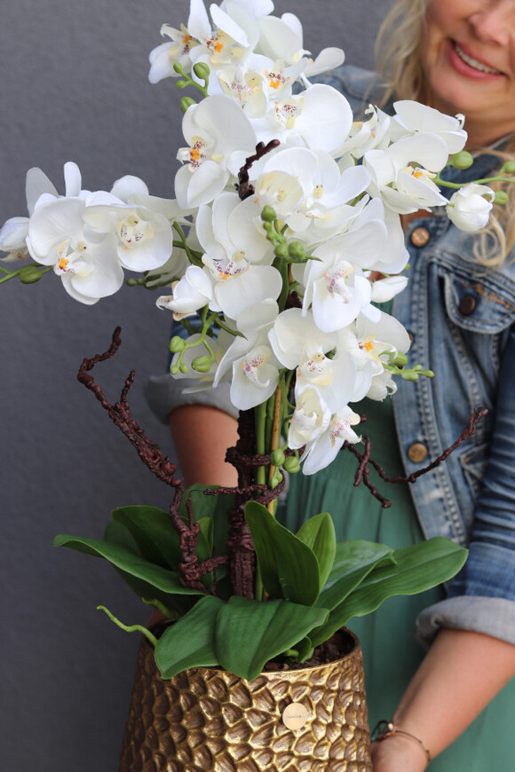 Goldenario Vase, biały storczyk w złotej donicy