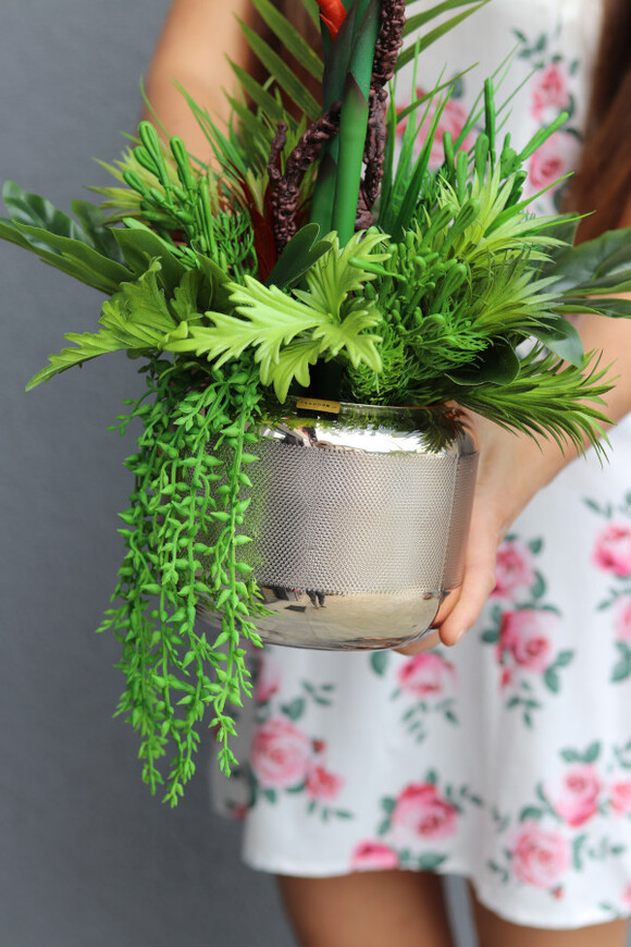 Strelicja Salise Gold, kompozycja w szklanej osłonce