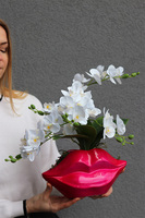 Usta Usta, storczyk w ozdobnej donicy