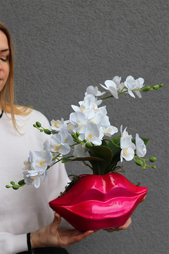 Usta Usta, storczyk w ozdobnej donicy, wys.38cm