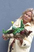 Forrest Suculent, kompozycja sukulenty w donicy korzeniu, wym.26.18x42cm