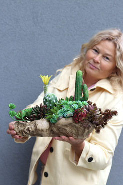 OD RĘKI Forrest Suculent, kompozycja sukulenty w donicy korzeniu, wym.26.18x42cm