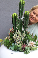 Esperanza Cacti 2 Fiberglass, sukulenty z kaktusem w białej donicy