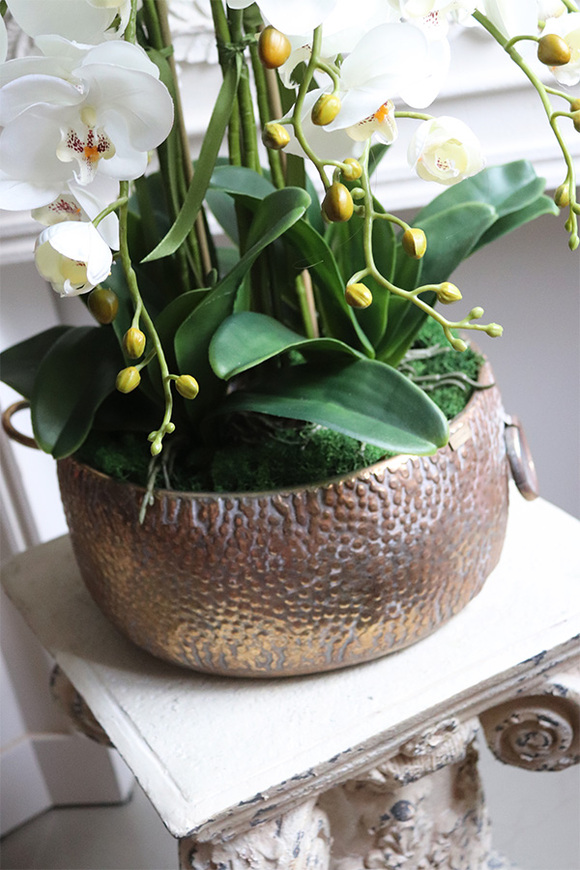 Medita, sztuczny storczyk w złotej misie