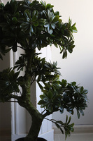 Bonsai, sztuczna roślina w doniczce