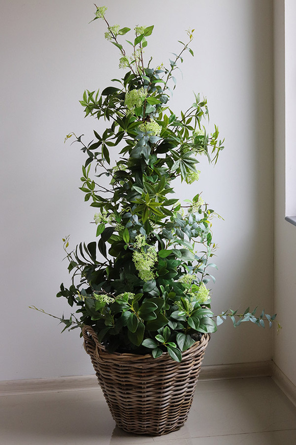 New Green Bahama, drzewko sztuczne kolumnowe w donicy