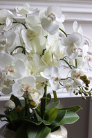 Calatti Gaina 2, wysokiej jakości sztuczny storczyk