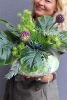 Medrea, dekoracja z monsterą i sukulentami